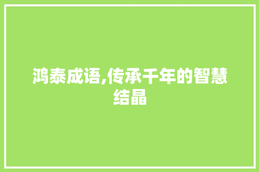 鸿泰成语,传承千年的智慧结晶