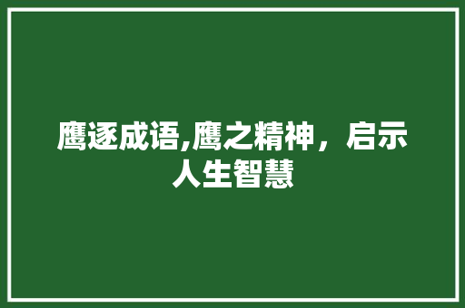 鹰逐成语,鹰之精神，启示人生智慧