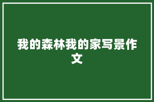 经典活动计划,打造非凡体验，引领未来潮流
