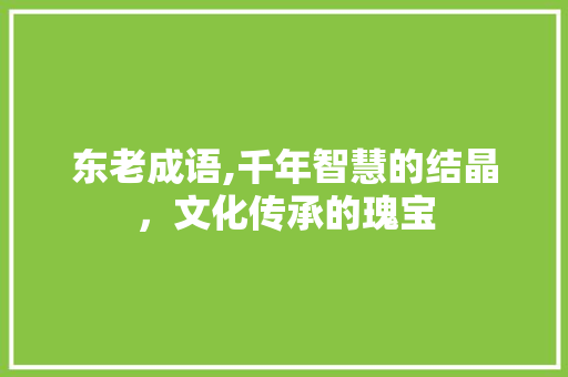 东老成语,千年智慧的结晶，文化传承的瑰宝