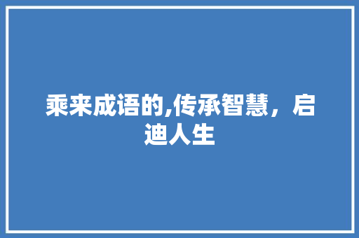 乘来成语的,传承智慧，启迪人生