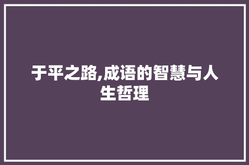 于平之路,成语的智慧与人生哲理