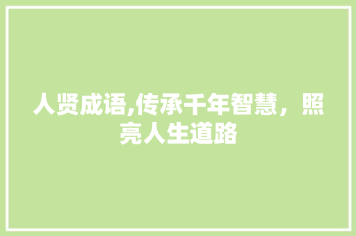 人贤成语,传承千年智慧，照亮人生道路