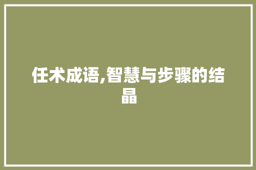 任术成语,智慧与步骤的结晶