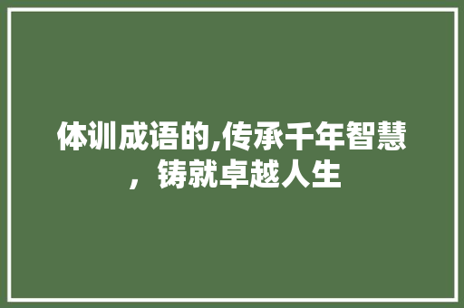 体训成语的,传承千年智慧，铸就卓越人生