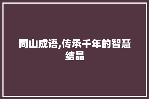 同山成语,传承千年的智慧结晶