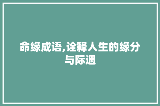命缘成语,诠释人生的缘分与际遇 近义词汇