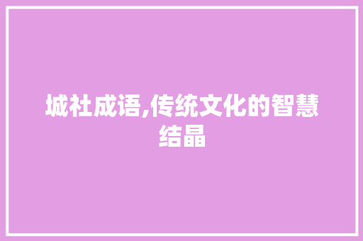 城社成语,传统文化的智慧结晶