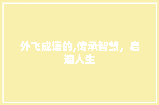 外飞成语的,传承智慧，启迪人生