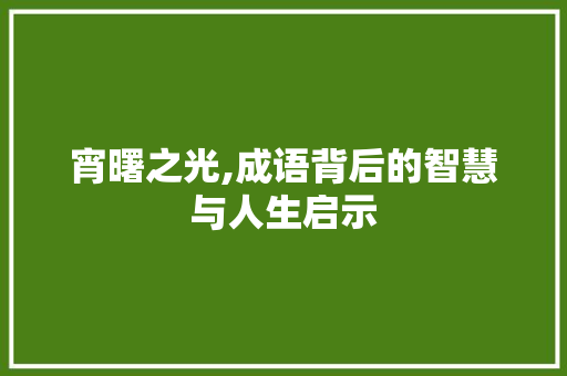 宵曙之光,成语背后的智慧与人生启示