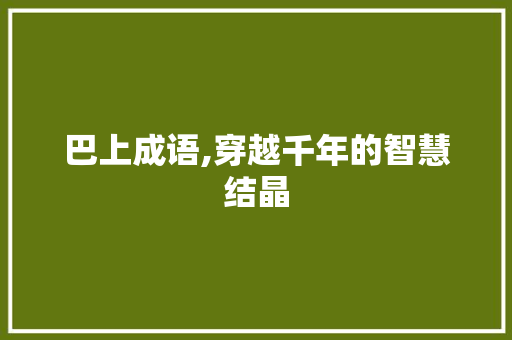 巴上成语,穿越千年的智慧结晶