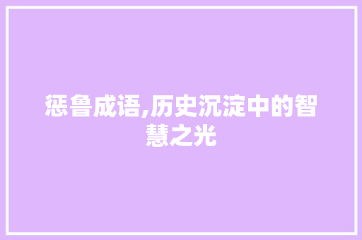 惩鲁成语,历史沉淀中的智慧之光 成语汇编