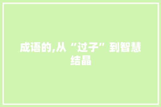 成语的,从“过子”到智慧结晶