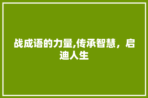 战成语的力量,传承智慧，启迪人生