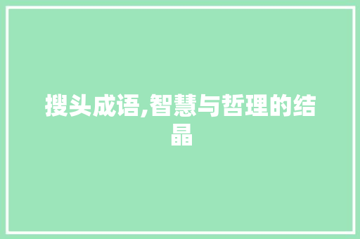 搜头成语,智慧与哲理的结晶