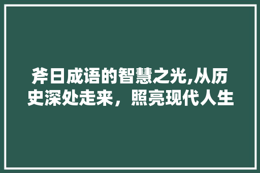 斧日成语的智慧之光,从历史深处走来，照亮现代人生