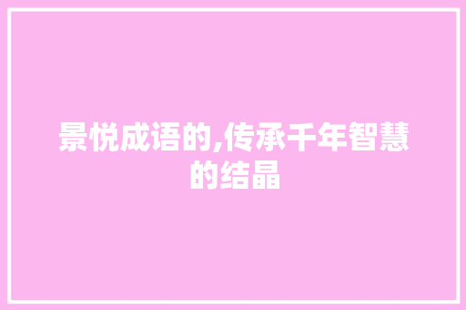 景悦成语的,传承千年智慧的结晶