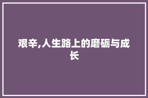 艰辛,人生路上的磨砺与成长