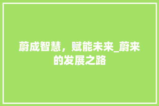 蔚成智慧，赋能未来_蔚来的发展之路