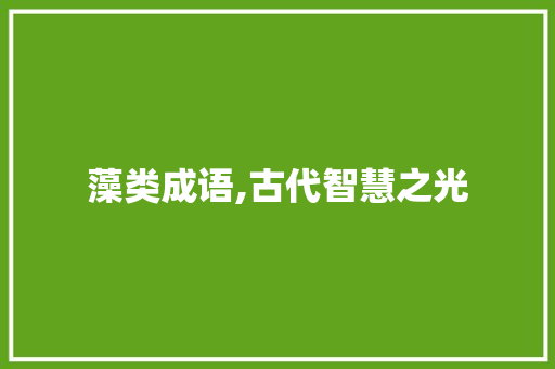 藻类成语,古代智慧之光 成语汇编