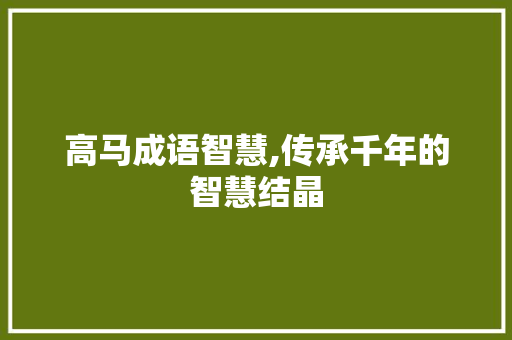 高马成语智慧,传承千年的智慧结晶