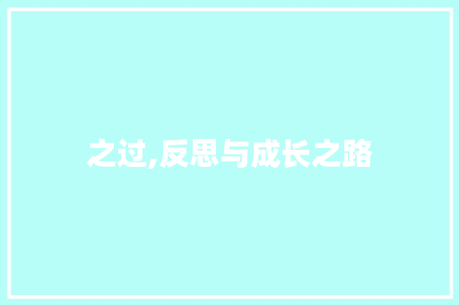之过,反思与成长之路