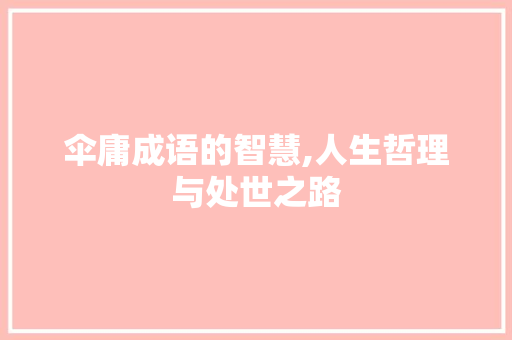 伞庸成语的智慧,人生哲理与处世之路 成语汇编