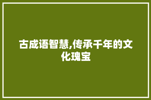 古成语智慧,传承千年的文化瑰宝