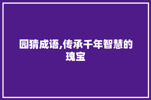园猜成语,传承千年智慧的瑰宝