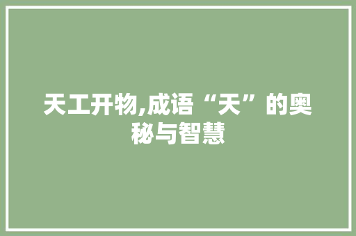 天工开物,成语“天”的奥秘与智慧