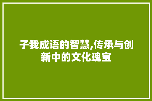 子我成语的智慧,传承与创新中的文化瑰宝