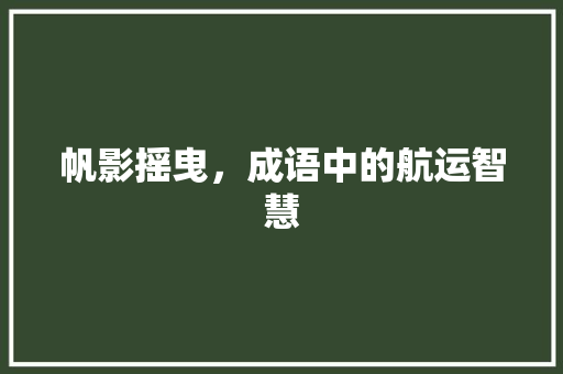 帆影摇曳，成语中的航运智慧 近义词汇