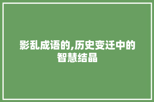 影乱成语的,历史变迁中的智慧结晶