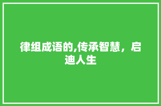 律组成语的,传承智慧，启迪人生