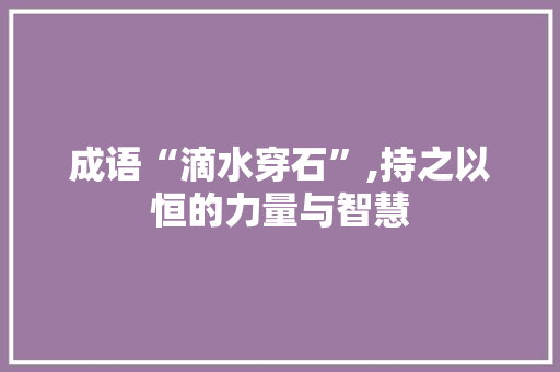 成语“滴水穿石”,持之以恒的力量与智慧