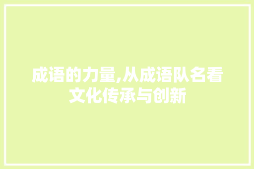 成语的力量,从成语队名看文化传承与创新