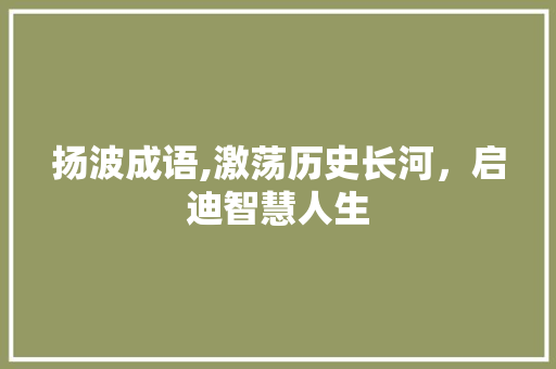 扬波成语,激荡历史长河，启迪智慧人生 问答