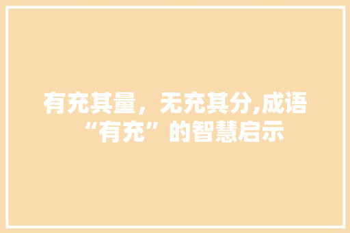 有充其量，无充其分,成语“有充”的智慧启示