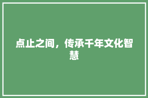 点止之间，传承千年文化智慧