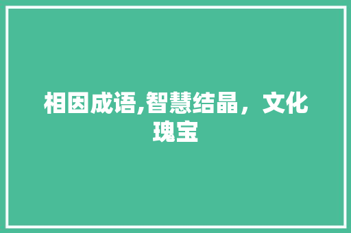 相因成语,智慧结晶，文化瑰宝