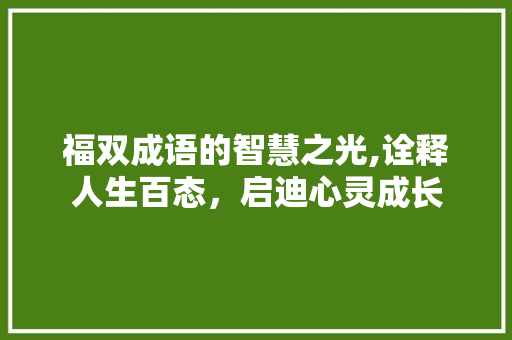 福双成语的智慧之光,诠释人生百态，启迪心灵成长