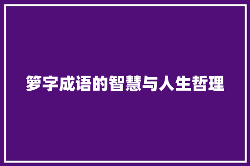 箩字成语的智慧与人生哲理