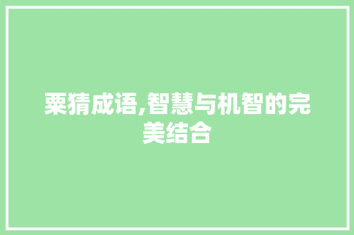 粟猜成语,智慧与机智的完美结合 古代典籍