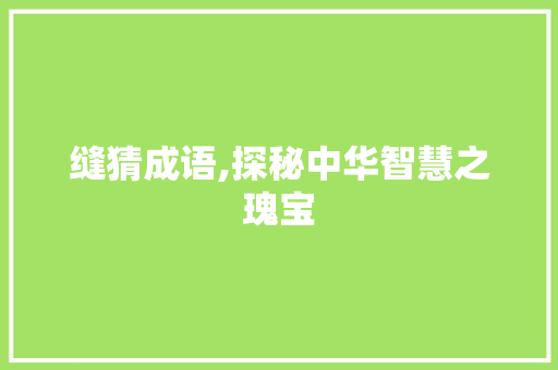 缝猜成语,探秘中华智慧之瑰宝 短语