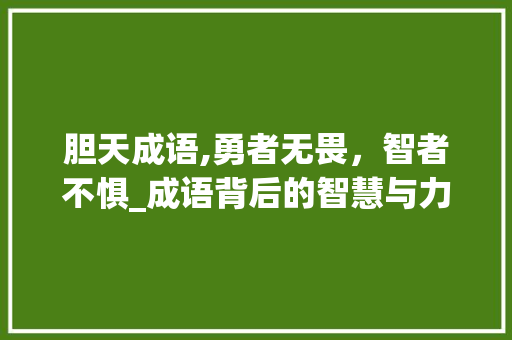 胆天成语,勇者无畏，智者不惧_成语背后的智慧与力量 英语单词