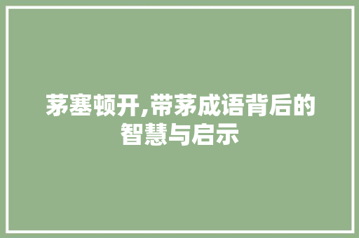 茅塞顿开,带茅成语背后的智慧与启示