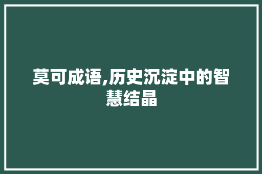莫可成语,历史沉淀中的智慧结晶