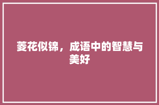 菱花似锦，成语中的智慧与美好