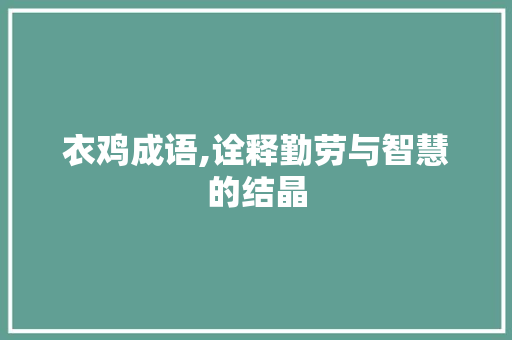 衣鸡成语,诠释勤劳与智慧的结晶