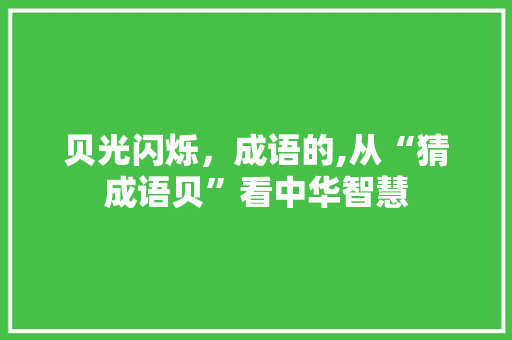 贝光闪烁，成语的,从“猜成语贝”看中华智慧